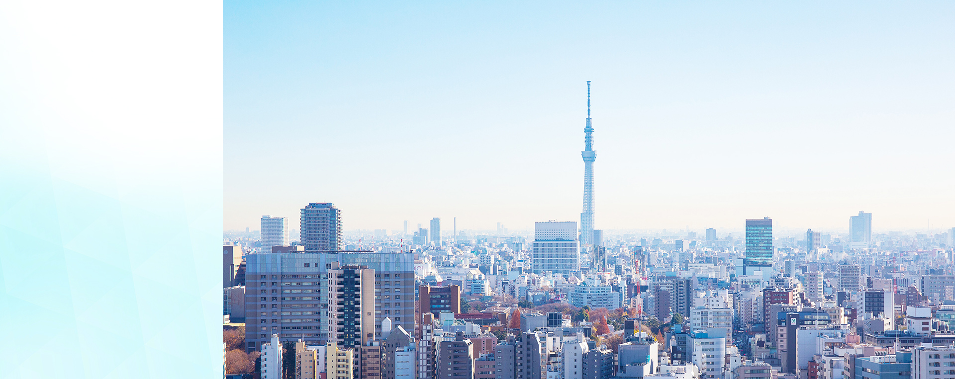 フリューゲル法律事務所